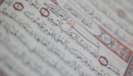 شرح سورة القصص صورة مقال شرح سورة القصص