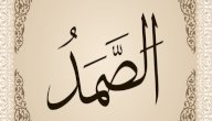معنى الله الصمد صورة مقال معنى الله الصمد