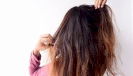 خلطة لترطيب الشعر الجاف صورة مقال خلطة لترطيب الشعر الجاف