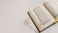 أسباب نزول سورة الحشر صورة مقال أسباب نزول سورة الحشر