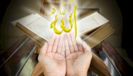 أحاديث عن رحمة الله صورة مقال أحاديث عن رحمة الله