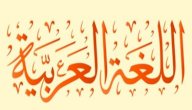 أجمل ما قرأت عن اللغة العربية صورة مقال أجمل ما قرأت عن اللغة العربية