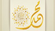 أبناء الرسول وأمهاتهم صورة مقال أبناء الرسول وأمهاتهم