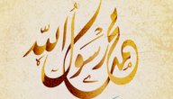 ابن عم الرسول صورة مقال ابن عم الرسول