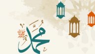 أحفاد الرسول صلى الله عليه وسلم صورة مقال أحفاد الرسول صلى الله عليه وسلم