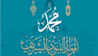 كلام عن المولد النبوي الشريف صورة مقال كلام عن المولد النبوي الشريف