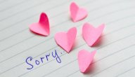 أجمل عبارات الاعتذار للصديق صورة مقال أجمل عبارات الاعتذار للصديق
