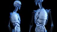 ما سبب تكون الماء على الرئه صورة مقال ما سبب تكون الماء على الرئه