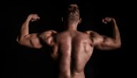 كم يحتاج لاعب كمال الأجسام من البروتين يومياً صورة مقال كم يحتاج لاعب كمال الأجسام من البروتين يومياً