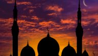 ما هي الدعوة السرية صورة مقال ما هي الدعوة السرية