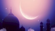 لماذا سمي ذو النورين بهذا الإسم صورة مقال لماذا سمي ذو النورين بهذا الإسم
