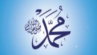 أبو الرسول وأمه صورة مقال أبو الرسول وأمه