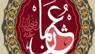 كيف أسلم عثمان بن عفان صورة مقال كيف أسلم عثمان بن عفان