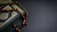 فضل قراءة سورة الحج صورة مقال فضل قراءة سورة الحج