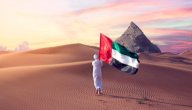 تضاريس دولة الإمارات صورة مقال تضاريس دولة الإمارات
