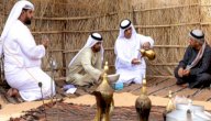 تعريف السنع الإماراتي صورة مقال تعريف السنع الإماراتي