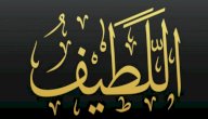 معنى اسم الله اللطيف صورة مقال معنى اسم الله اللطيف