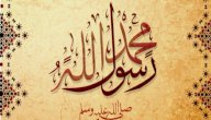 أسماء النبي محمد وألقابه صورة مقال أسماء النبي محمد وألقابه