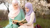 قصة سيدنا يعقوب للأطفال صورة مقال قصة سيدنا يعقوب للأطفال