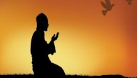 قصة الصحابي الذي حج سرًّا صورة مقال قصة الصحابي الذي حج سرًّا