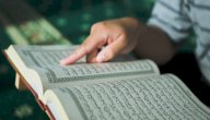 قصة امرأة عمران صورة مقال قصة امرأة عمران