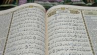 أين نزلت سورة لقمان؟ صورة مقال أين نزلت سورة لقمان؟