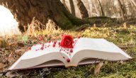 تحليل رواية في ديسمبر تنتهي كل الأحلام صورة مقال تحليل رواية في ديسمبر تنتهي كل الأحلام