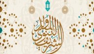 قصة المولد النبوي الشريف صورة مقال قصة المولد النبوي الشريف