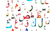 شبه الجملة في اللغة العربية صورة مقال شبه الجملة في اللغة العربية