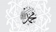 شرح نسب الرسول صلى الله عليه وسلم للأطفال صورة مقال شرح نسب الرسول صلى الله عليه وسلم للأطفال