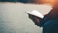 شرح قصيدة في وصف النيل صورة مقال شرح قصيدة في وصف النيل