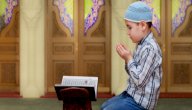 شرح سورة النجم للأطفال صورة مقال شرح سورة النجم للأطفال