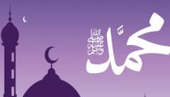 كم رمضان صام النبي محمد؟ صورة مقال كم رمضان صام النبي محمد؟