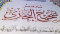 شروح صحيح البخاري صورة مقال شروح صحيح البخاري