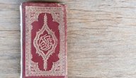 موضوعات سورة الفيل صورة مقال موضوعات سورة الفيل