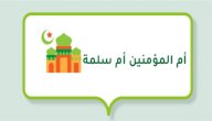 قصص أم المؤمنين أم سلمة صورة مقال قصص أم المؤمنين أم سلمة