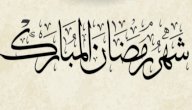 فضل صيام شهر رمضان صورة مقال فضل صيام شهر رمضان