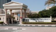 الجامعة الأمريكية في دبي صورة مقال الجامعة الأمريكية في دبي
