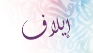 معنى اسم إيلاف صورة مقال معنى اسم إيلاف