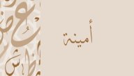 صورة مقال معنى اسم أمنية