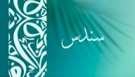 صورة مقال معنى اسم سندس