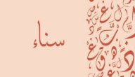 صورة مقال معنى اسم سناء