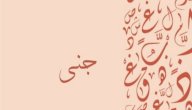 معنى اسم جنى معنى اسم جنى