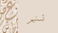 معنى اسم تسنيم صورة مقال معنى اسم تسنيم
