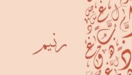 صورة مقال معنى اسم رنيم