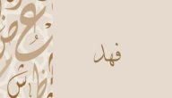 صورة مقال ما معنى اسم فهد؟