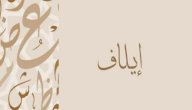 معنى اسم ايلاف صورة مقال معنى اسم ايلاف