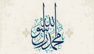كلمات في حب الرسول صورة مقال كلمات في حب الرسول