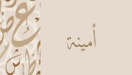 صورة مقال معنى اسم أمينة