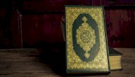 أمثلة على الأفعال الخمسة في القرآن الكريم صورة مقال أمثلة على الأفعال الخمسة في القرآن الكريم